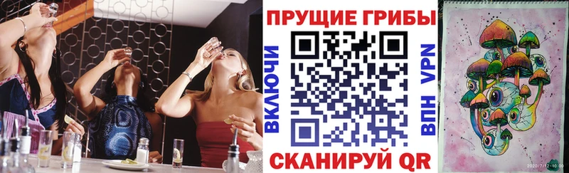 Галлюциногенные грибы ЛСД  даркнет сайт  Бежецк 